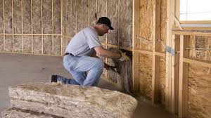 Eco-Friendly or Green Insulation Solutions in Fredericksburg, VA