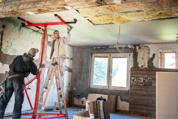 Best Insulation Removal  in Fredericksburg, VA