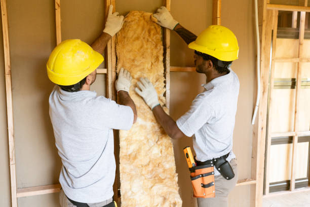 Best Attic Insulation Installation  in Fredericksburg, VA